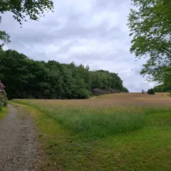 Domaine Solvay - La Hulpe