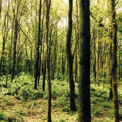 La Hulpe Golf Club - La Hulpe