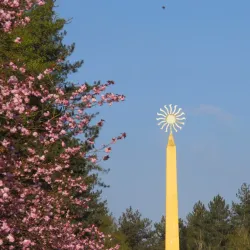 Parc de La Hulpe - La Hulpe