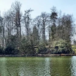 Parc de La Hulpe - La Hulpe