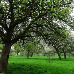 Parc de La Hulpe - La Hulpe