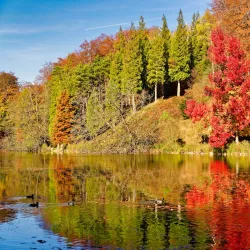 Parc de La Hulpe - La Hulpe