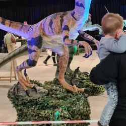 Community Cultural Events - Laakdal