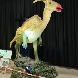 Community Cultural Events - Laakdal