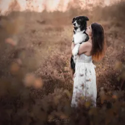 Cycling Routes in Laakdal - Laakdal