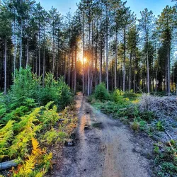 Cycling Routes in Laakdal - Laakdal