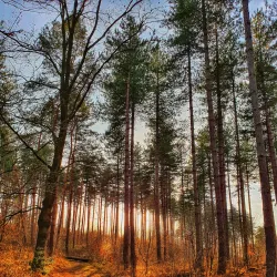 Cycling Routes in Laakdal - Laakdal
