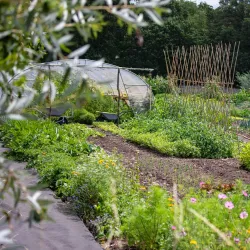 Historic Farms of Laakdal - Laakdal