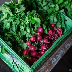 Historic Farms of Laakdal - Laakdal