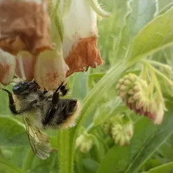 Historic Farms of Laakdal - Laakdal