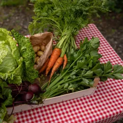 Historic Farms of Laakdal - Laakdal