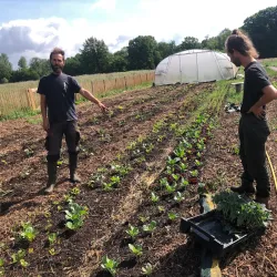 Historic Farms of Laakdal - Laakdal