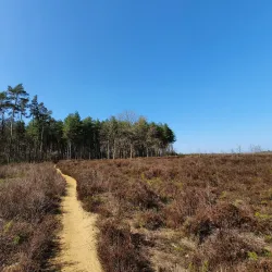 Laakdal Nature Reserve - Laakdal