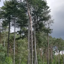 Laakdal Nature Reserve - Laakdal