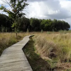 Laakdal Nature Reserve - Laakdal