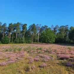 Walking Trails Around Laakdal - Laakdal