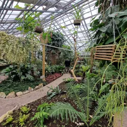 Botanical Garden Kruidtuin - Leuven