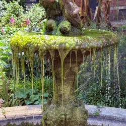 Botanical Garden Kruidtuin - Leuven