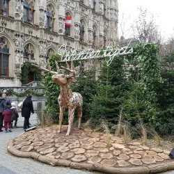 Leuven Town Museum (Stadsmuseum) - Leuven
