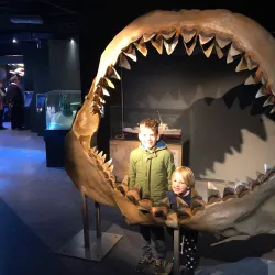 Aquarium-Muséum de Liège - Liege