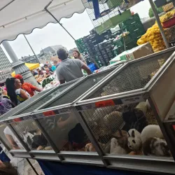 La Batte Market - Liege