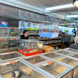 La Batte Market - Liege