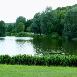 Lac de Louvain-la-Neuve - Louvain-la-Neuve