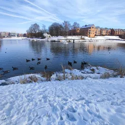 Lac de Louvain-la-Neuve - Louvain-la-Neuve