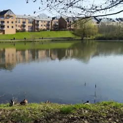 Lac de Louvain-la-Neuve - Louvain-la-Neuve