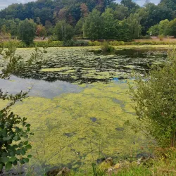 Lac de Louvain-la-Neuve - Louvain-la-Neuve
