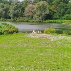 Lac de Louvain-la-Neuve - Louvain-la-Neuve