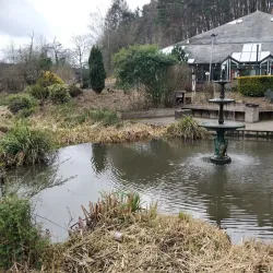 Le Bois des Rêves - Louvain-la-Neuve