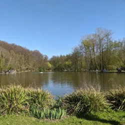 Le Bois des Rêves - Louvain-la-Neuve