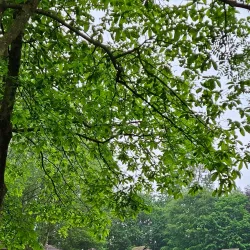 Le Bois des Rêves - Louvain-la-Neuve