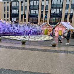 Louvain-la-Neuve Market - Louvain-la-Neuve