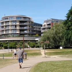 Louvain-la-Neuve Market - Louvain-la-Neuve