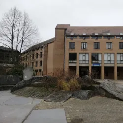 Louvain-la-Neuve Market - Louvain-la-Neuve