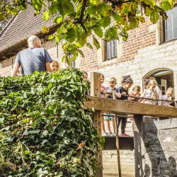 Museum of Old Techniques (Musée des Arts et Métiers) - Louvain-la-Neuve