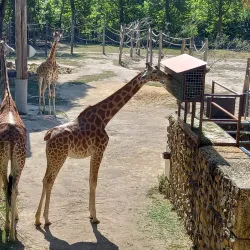 Planckendael Zoo - Mechelen