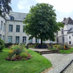 Ducasse de Mons (Doudou Festival) - Mons