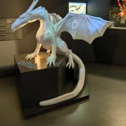 Ducasse de Mons (Doudou Festival) - Mons