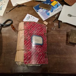 Mons Natural History Museum - Mons