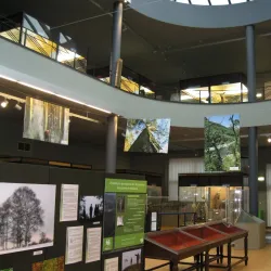 Mons Natural History Museum - Mons