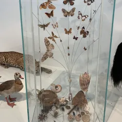 Mons Natural History Museum - Mons