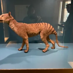 Mons Natural History Museum - Mons