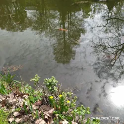 Parc Louise-Marie - Namur