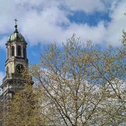Abbey Church of Ninove - Ninove