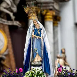 Abbey Church of Ninove - Ninove