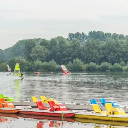 De Gavers Nature Reserve - Ninove