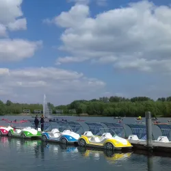 De Gavers Nature Reserve - Ninove